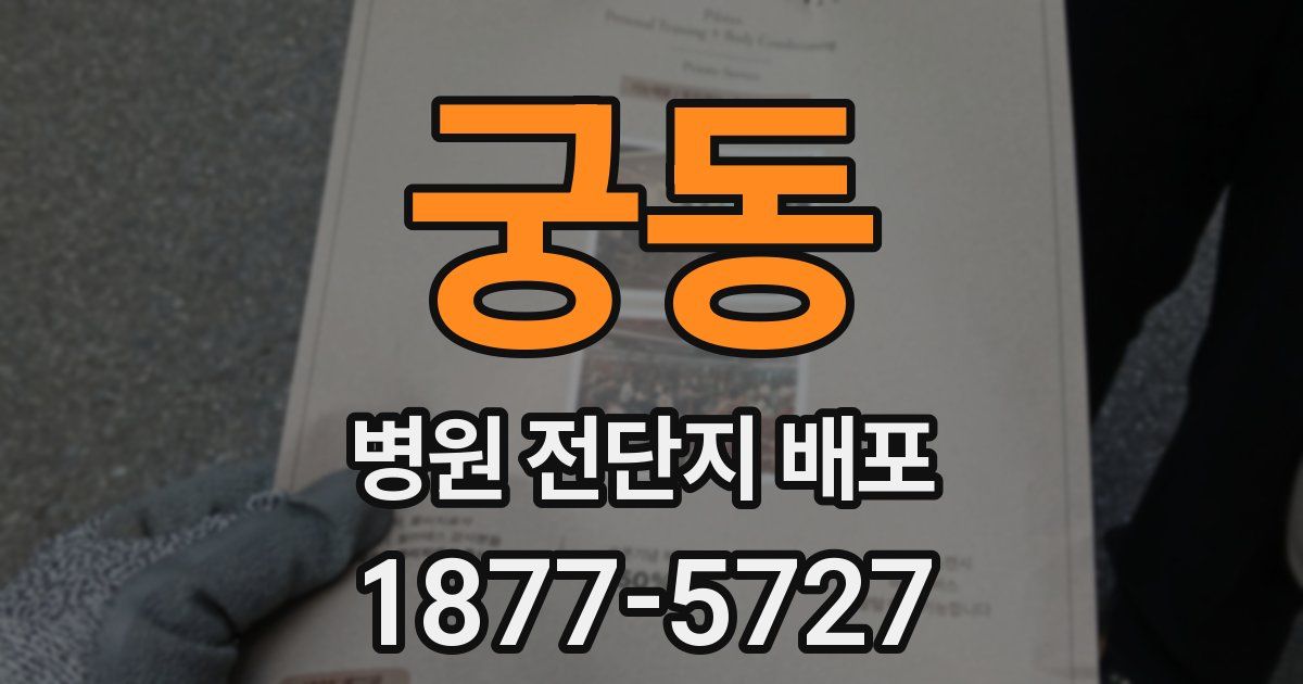 궁동 병원 전단지 배포