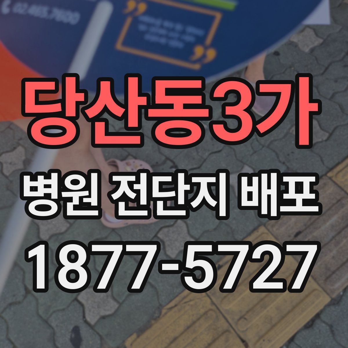 당산동3가 병원 전단지 배포