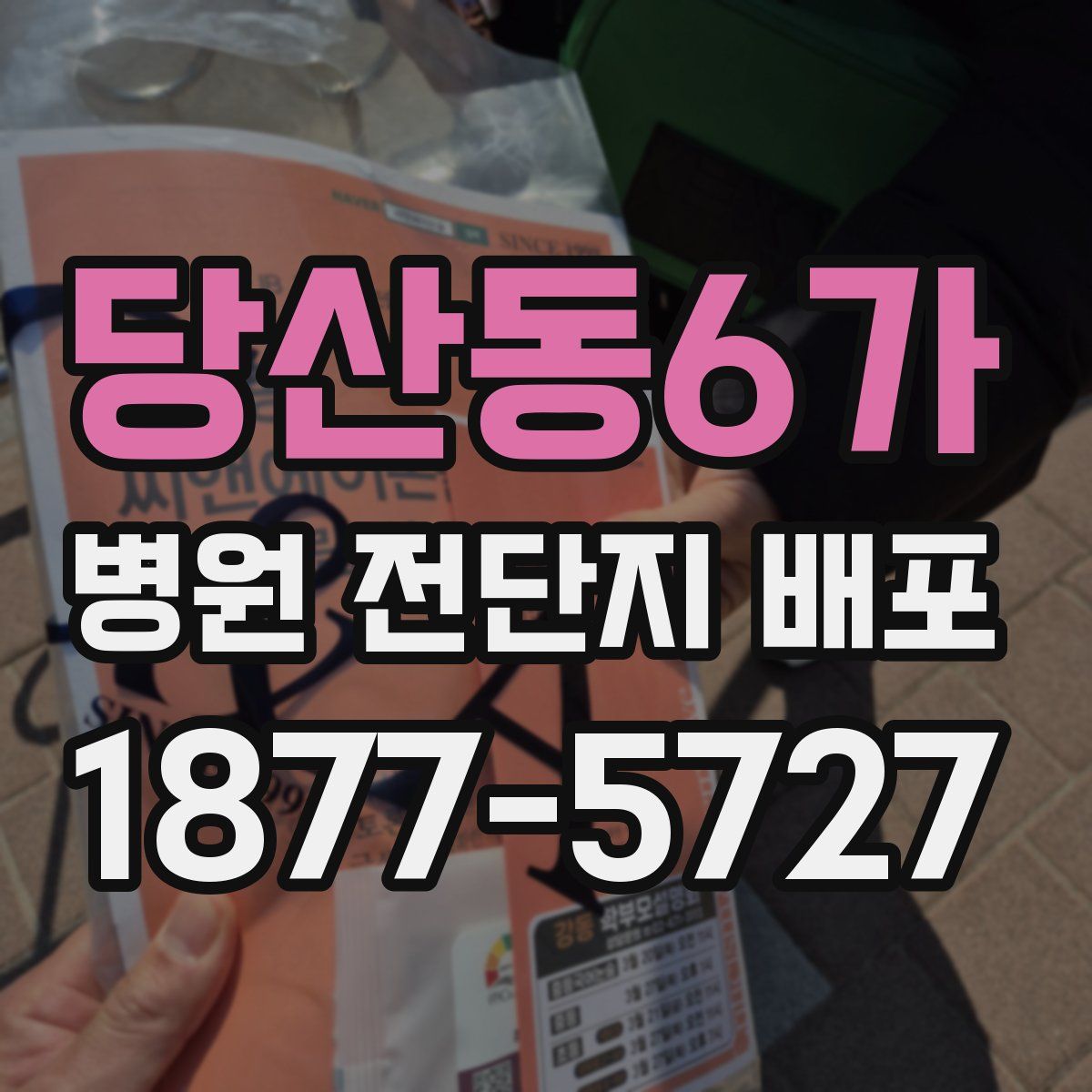 당산동6가 병원 전단지 배포