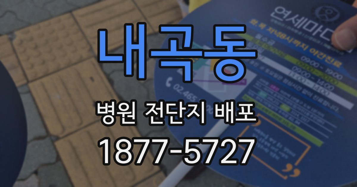 내곡동 병원 전단지 배포
