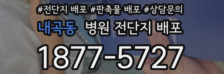 내곡동 병원 전단지 배포