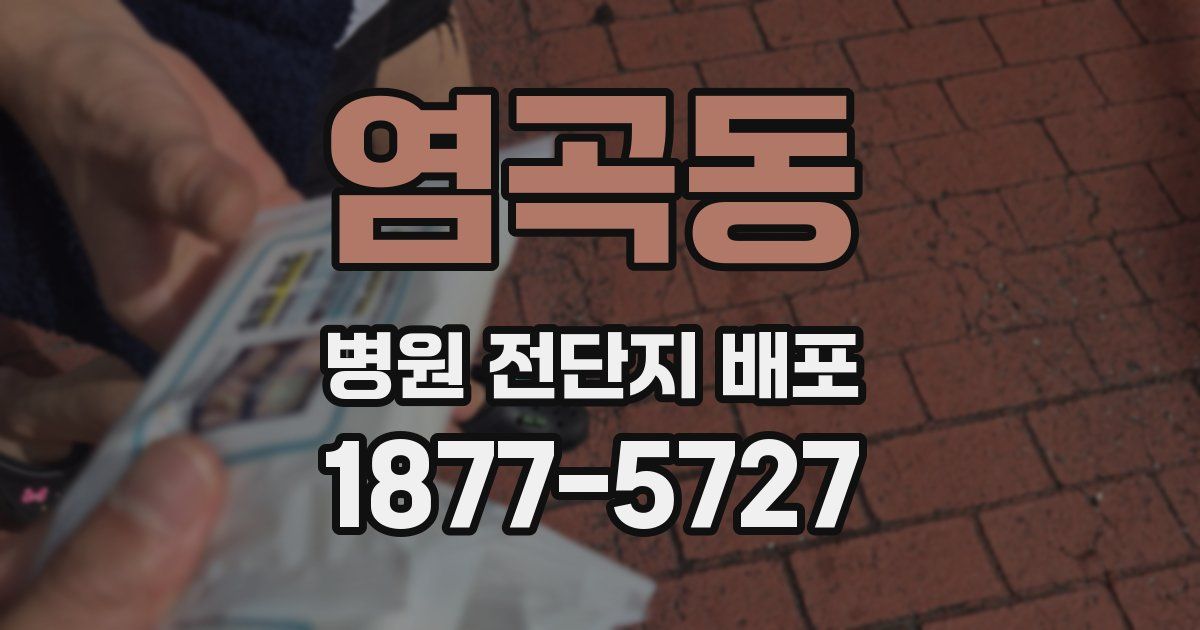 염곡동 병원 전단지 배포