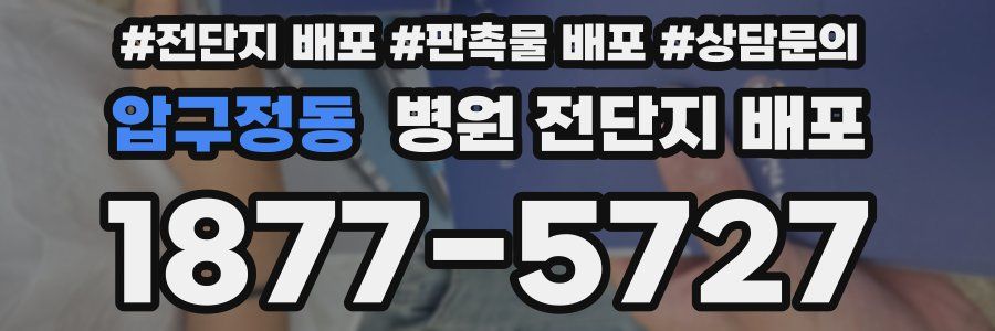 압구정동 병원 전단지 배포