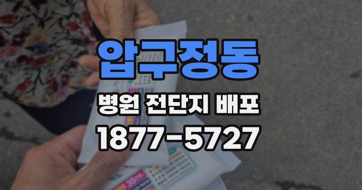 압구정동 병원 전단지 배포