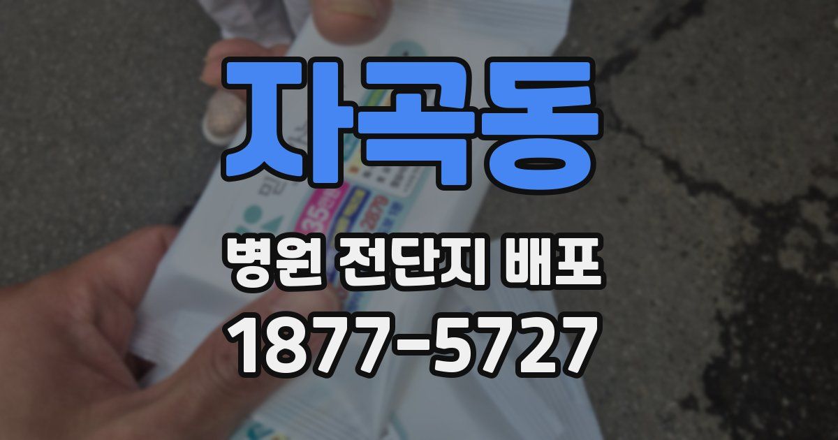 자곡동 병원 전단지 배포