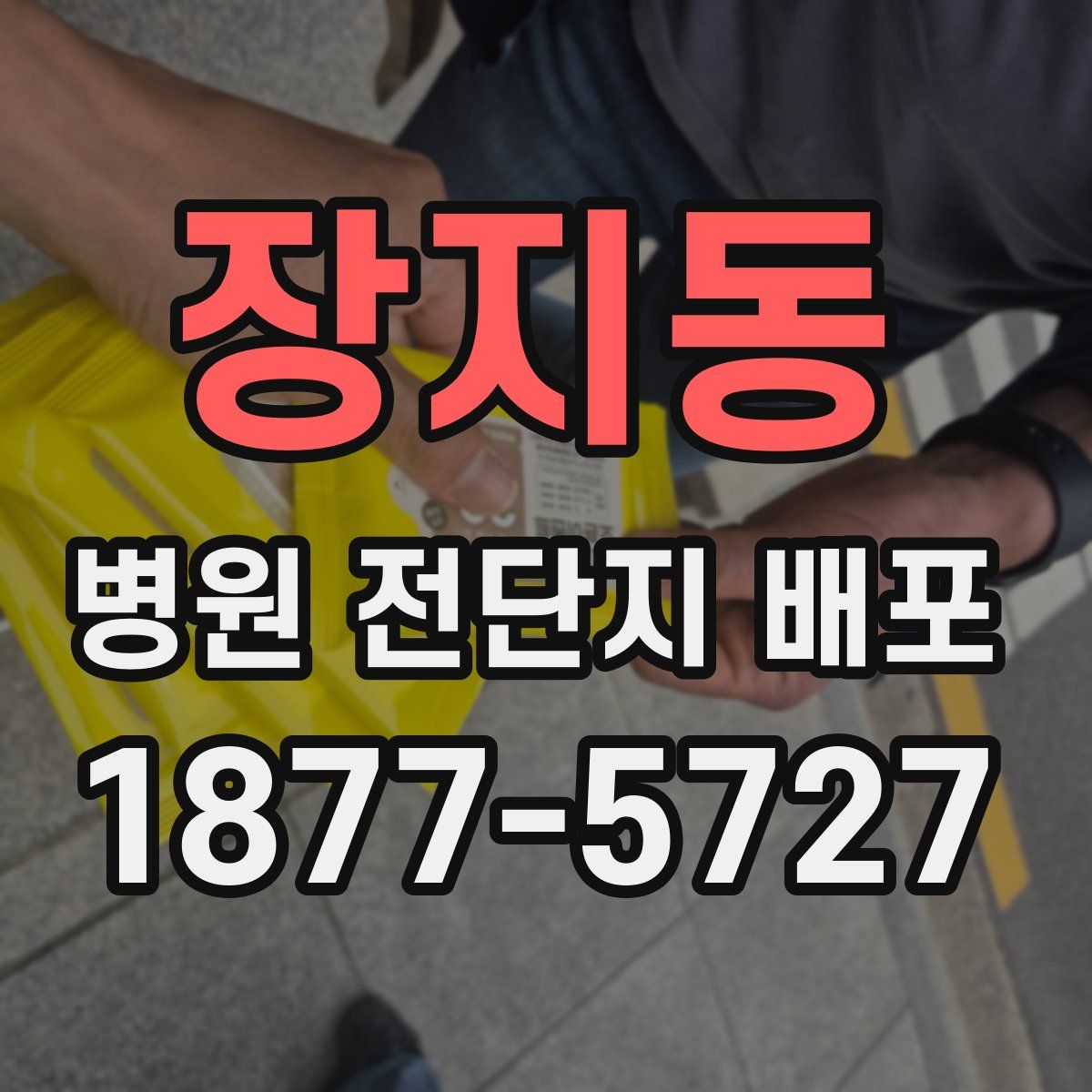 장지동 병원 전단지 배포