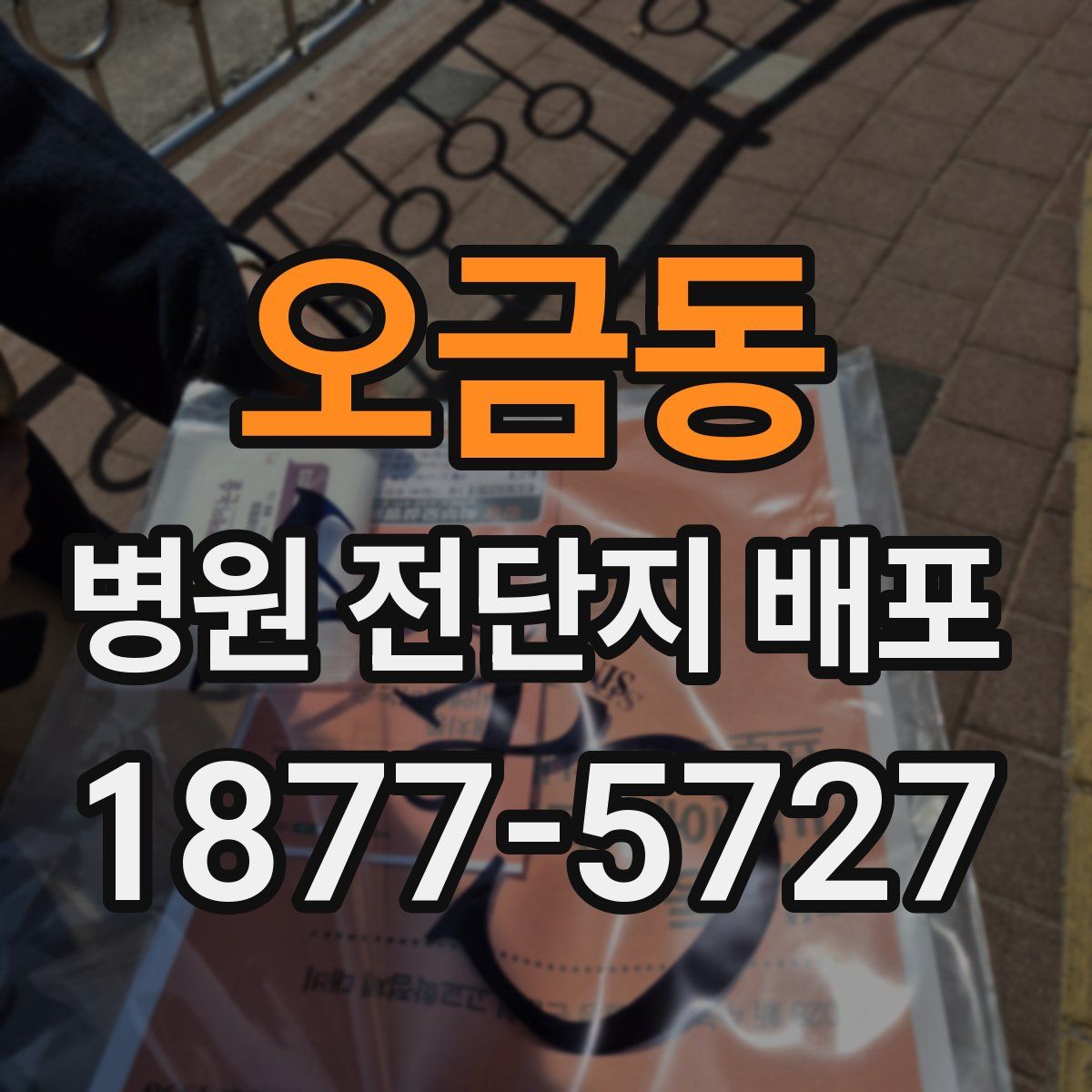 오금동 병원 전단지 배포