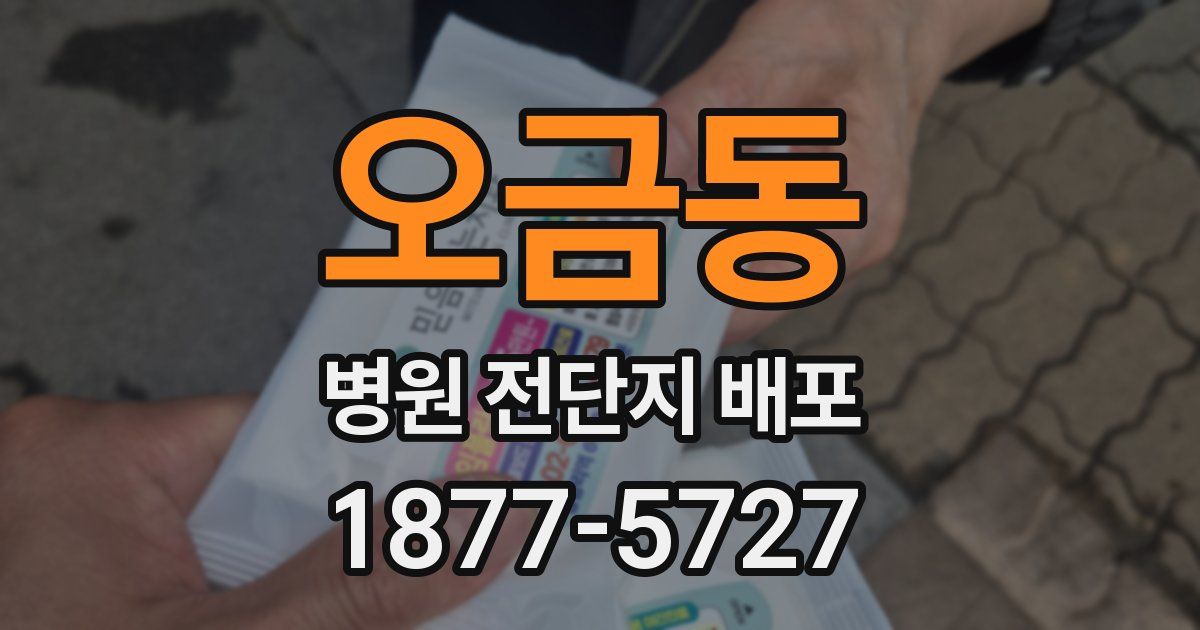 오금동 병원 전단지 배포