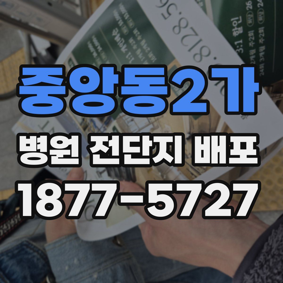 중앙동2가 병원 전단지 배포