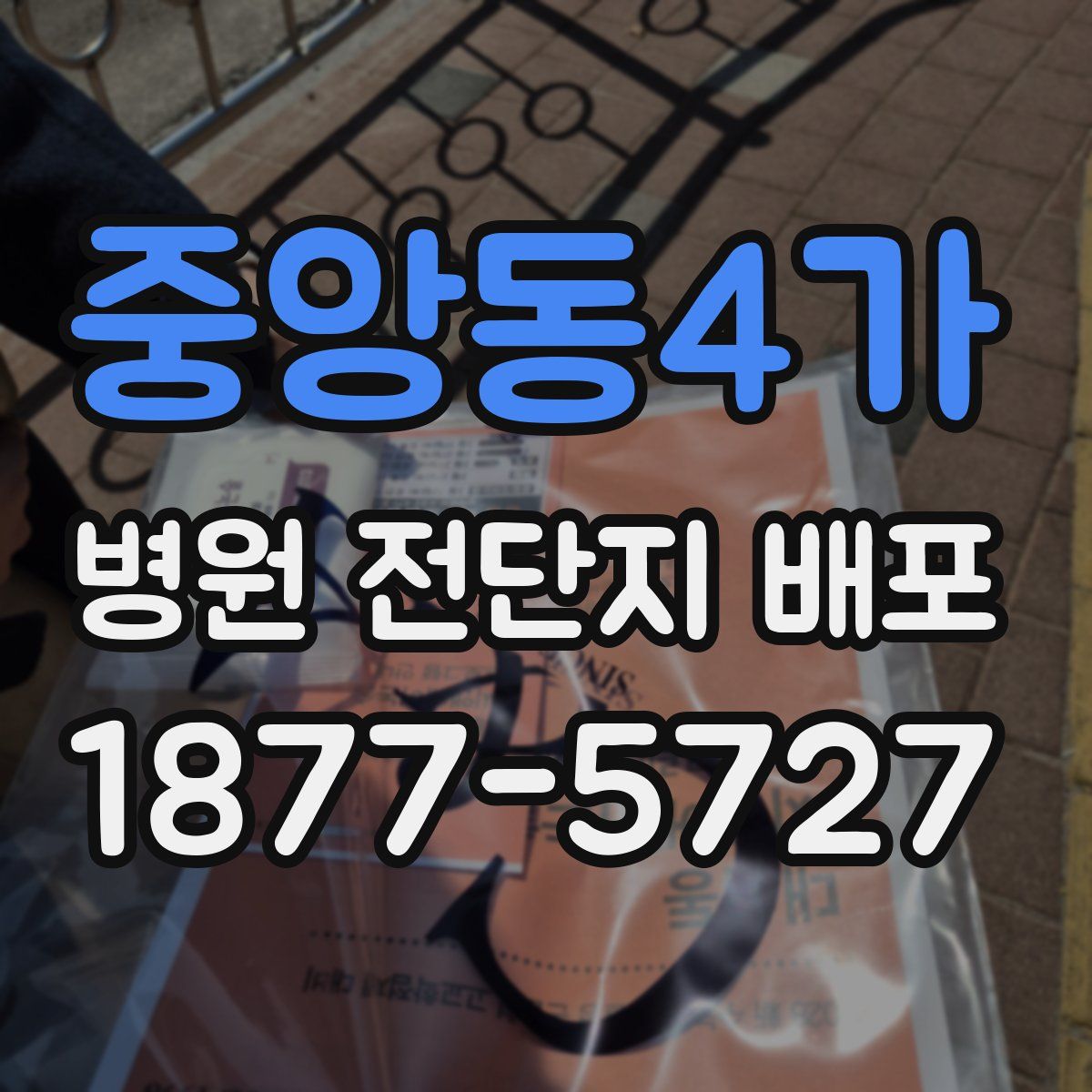 중앙동4가 병원 전단지 배포