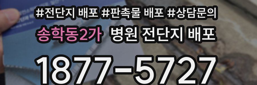 송학동2가 병원 전단지 배포