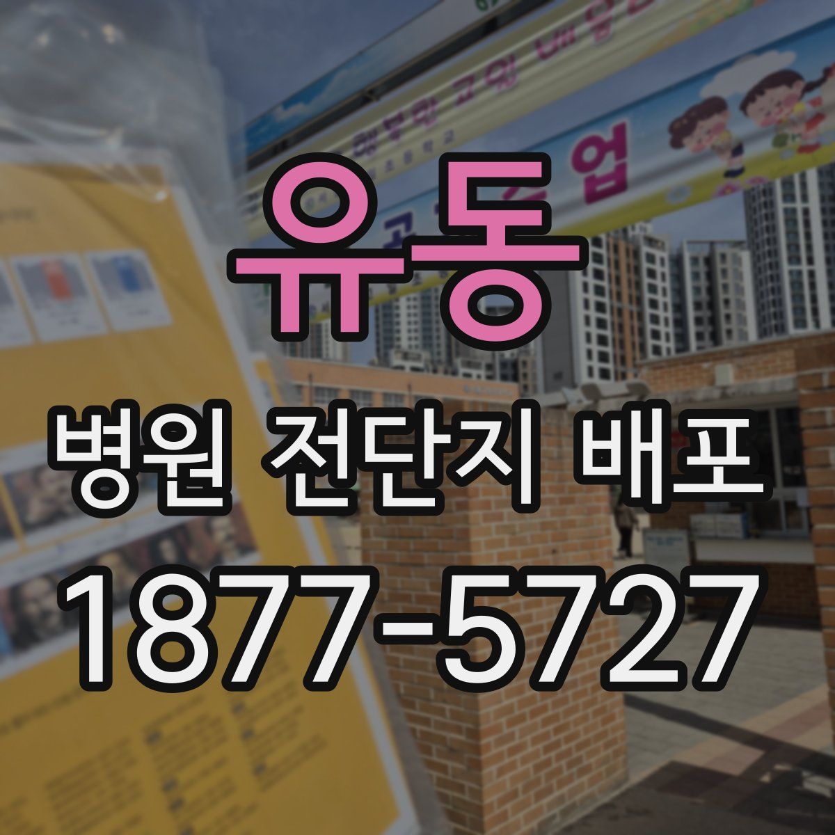 유동 병원 전단지 배포