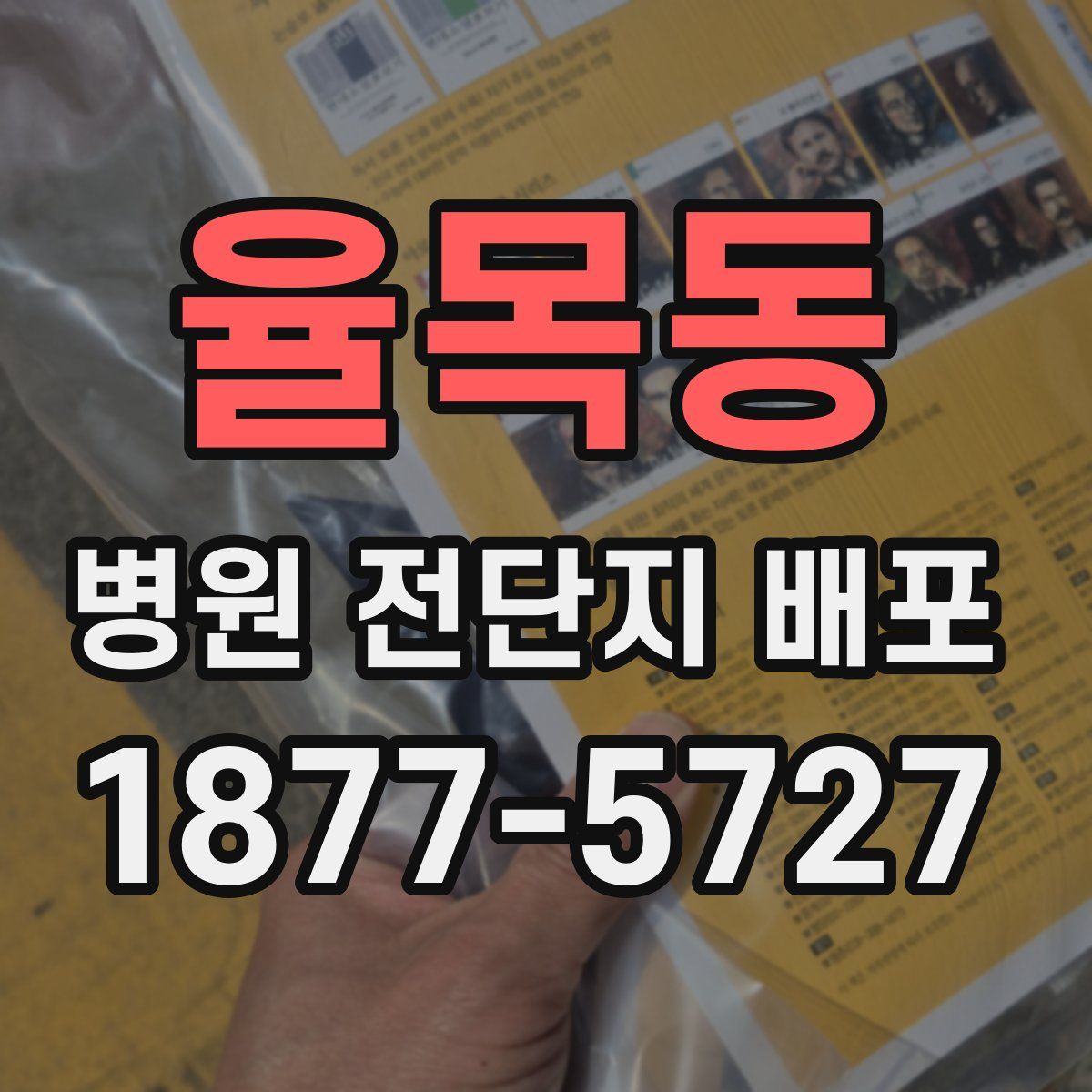 율목동 병원 전단지 배포