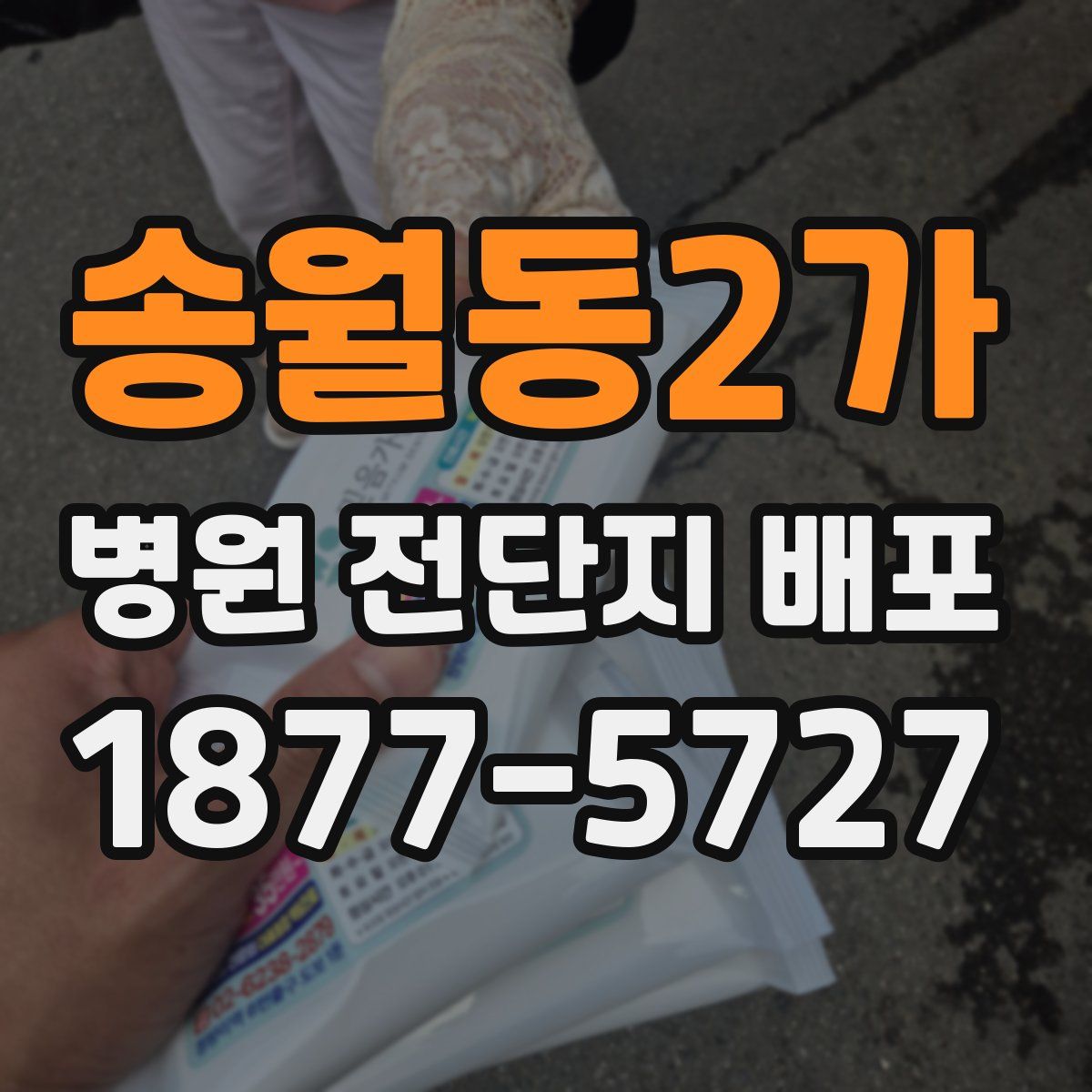 송월동2가 병원 전단지 배포