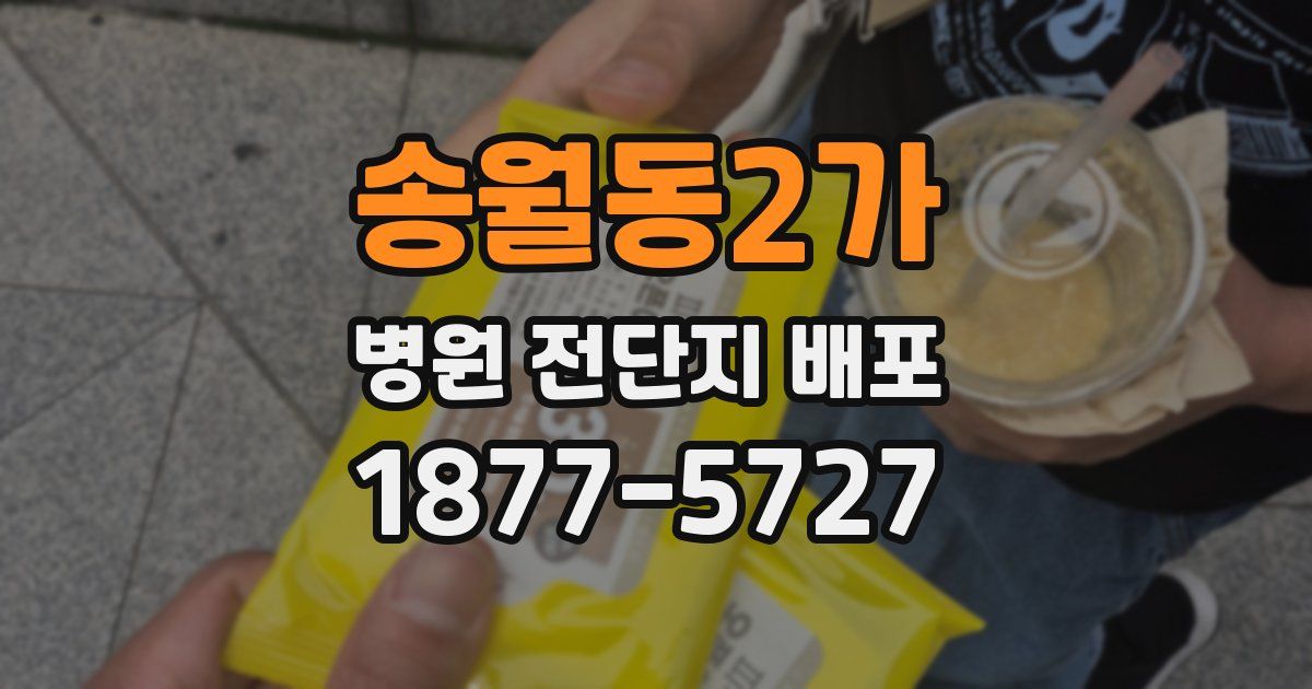 송월동2가 병원 전단지 배포