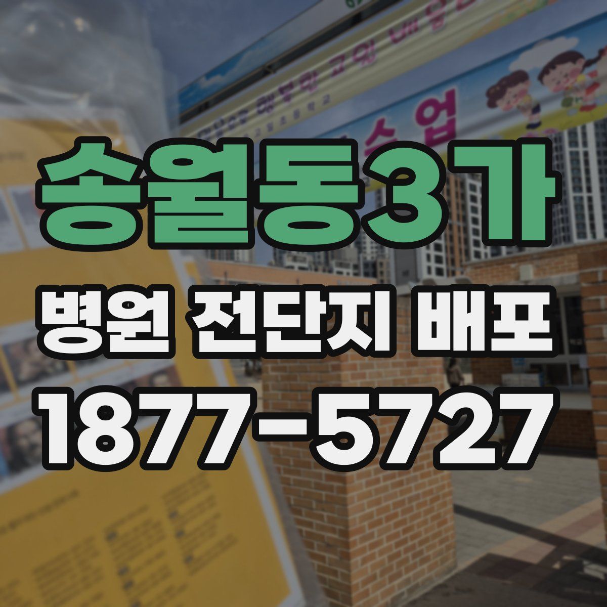 송월동3가 병원 전단지 배포