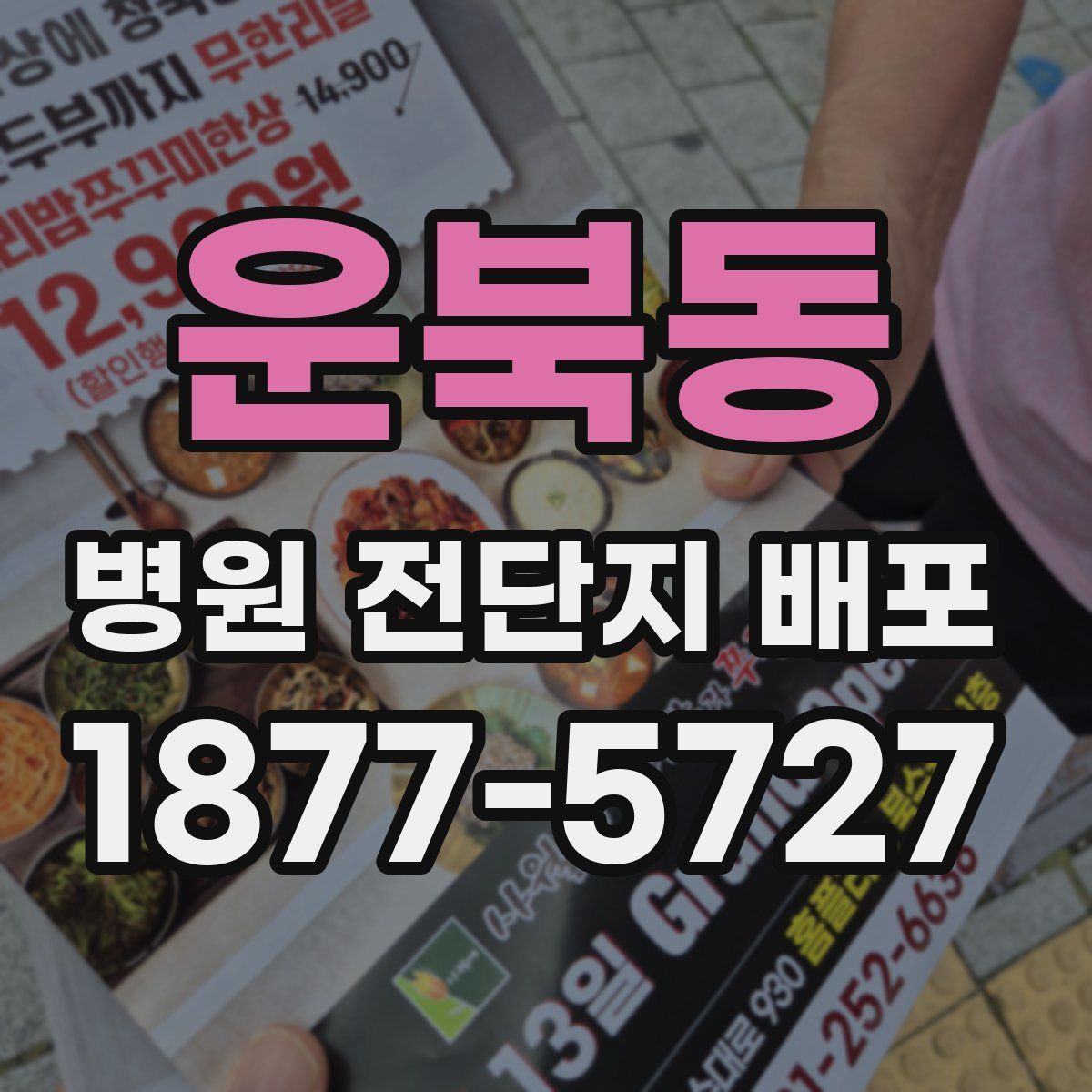 운북동 병원 전단지 배포
