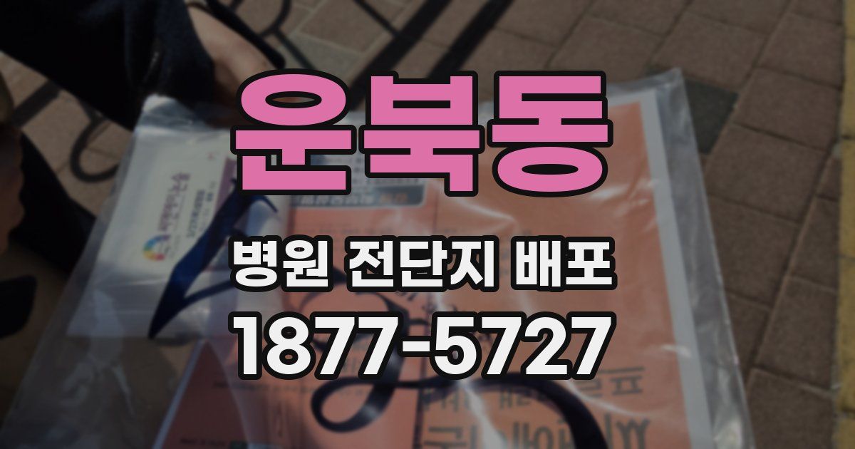 운북동 병원 전단지 배포
