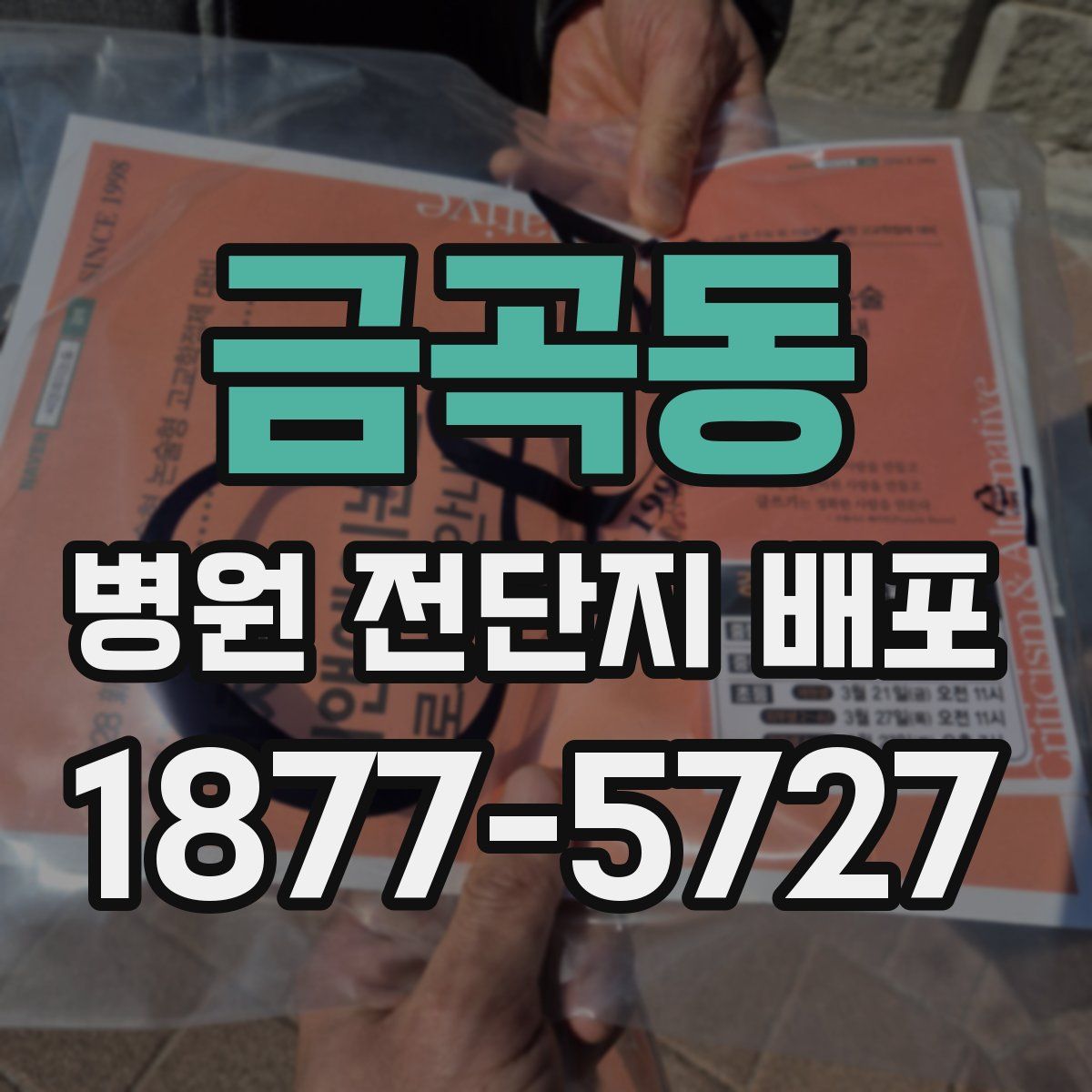 금곡동 병원 전단지 배포