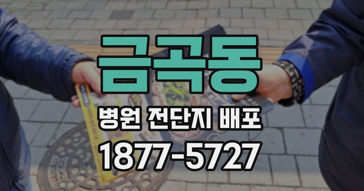 금곡동 병원 전단지 배포