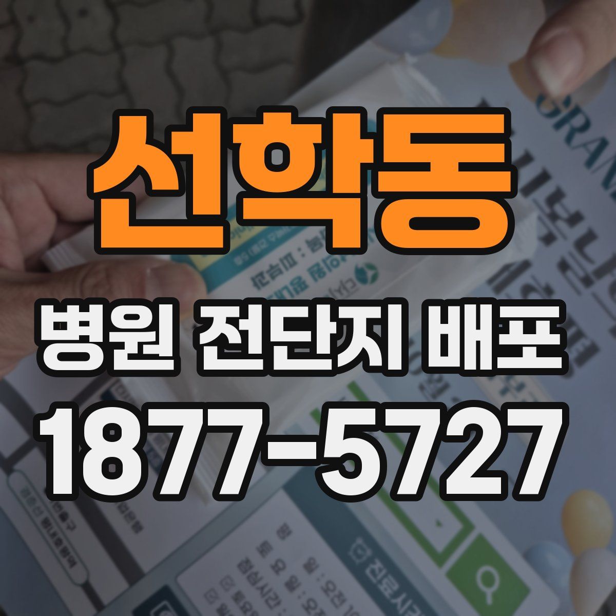 선학동 병원 전단지 배포