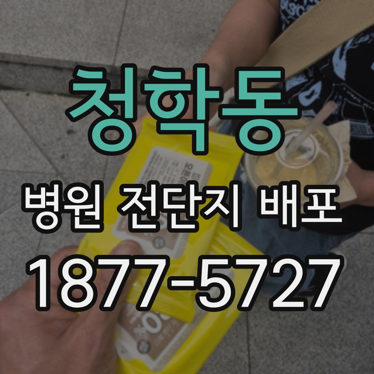 청학동 병원 전단지 배포