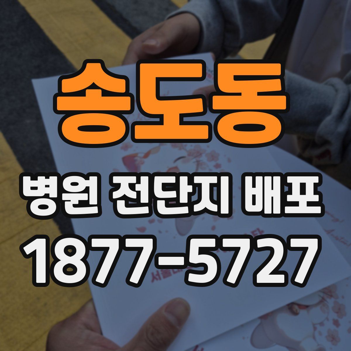 송도동 병원 전단지 배포