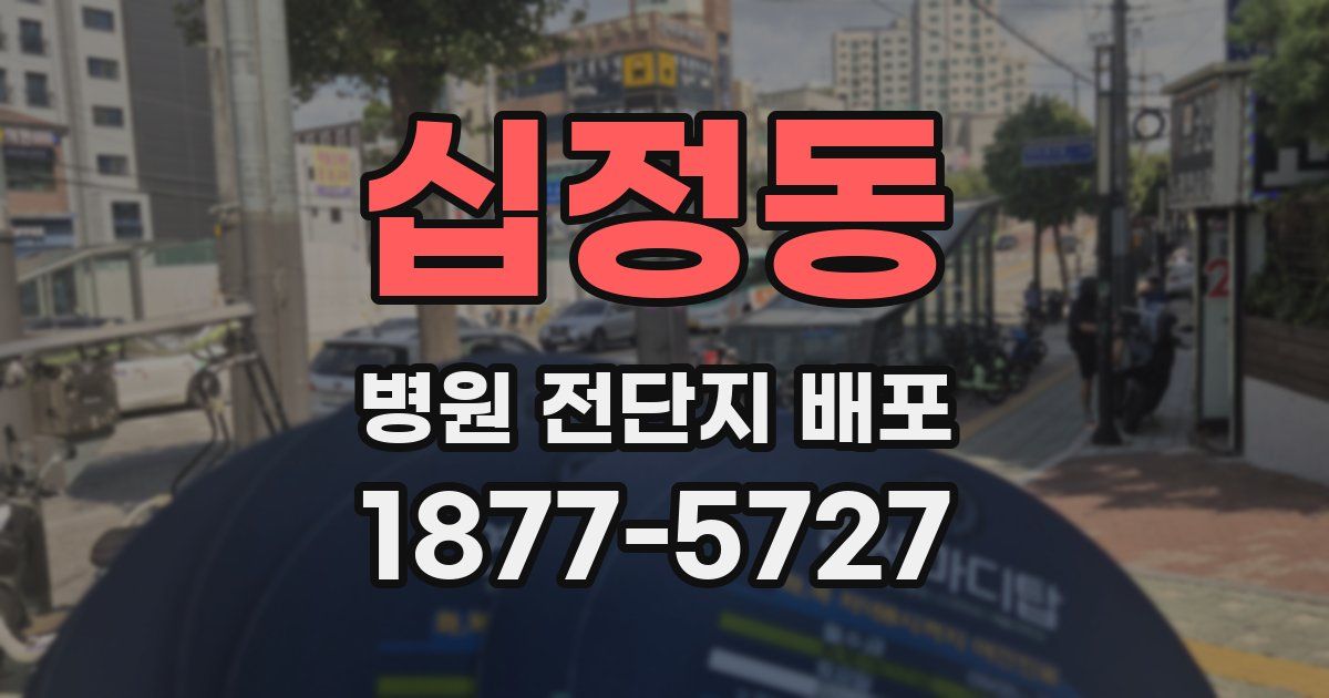 십정동 병원 전단지 배포