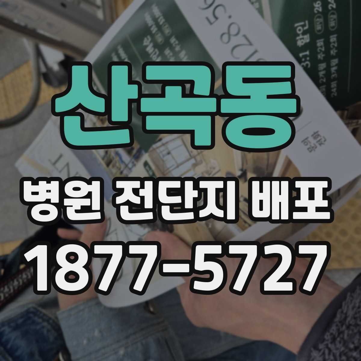 산곡동 병원 전단지 배포