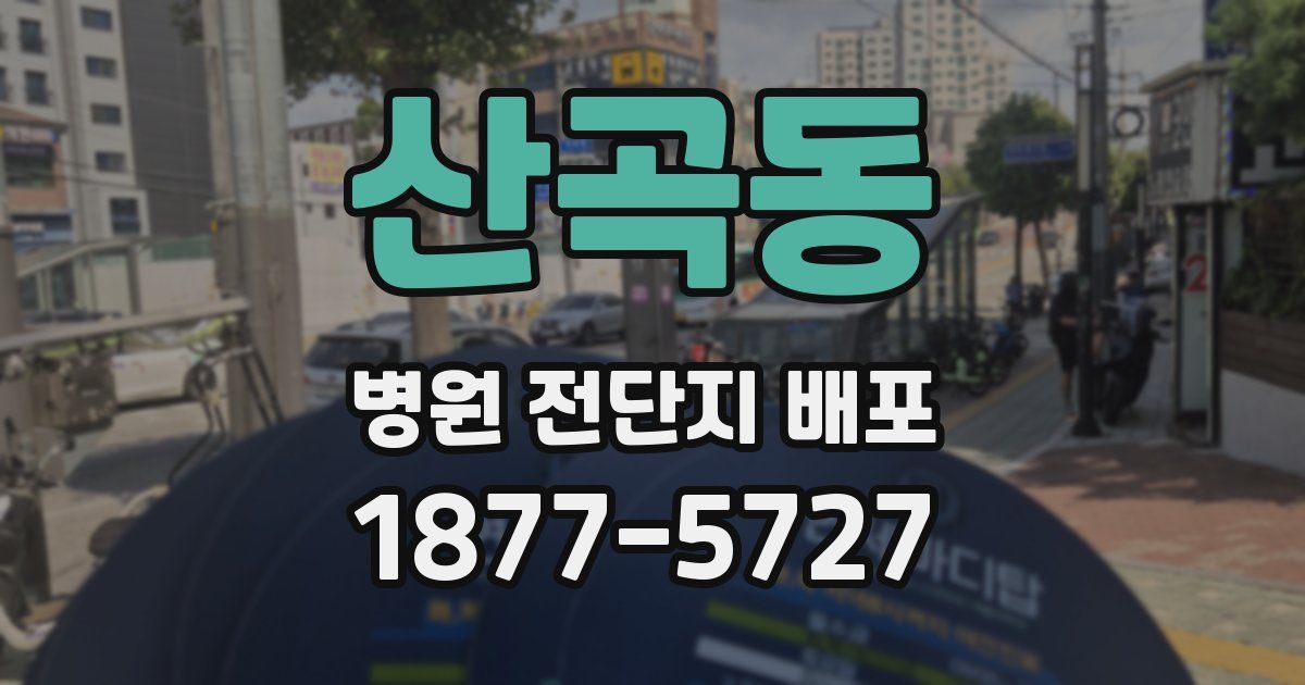산곡동 병원 전단지 배포