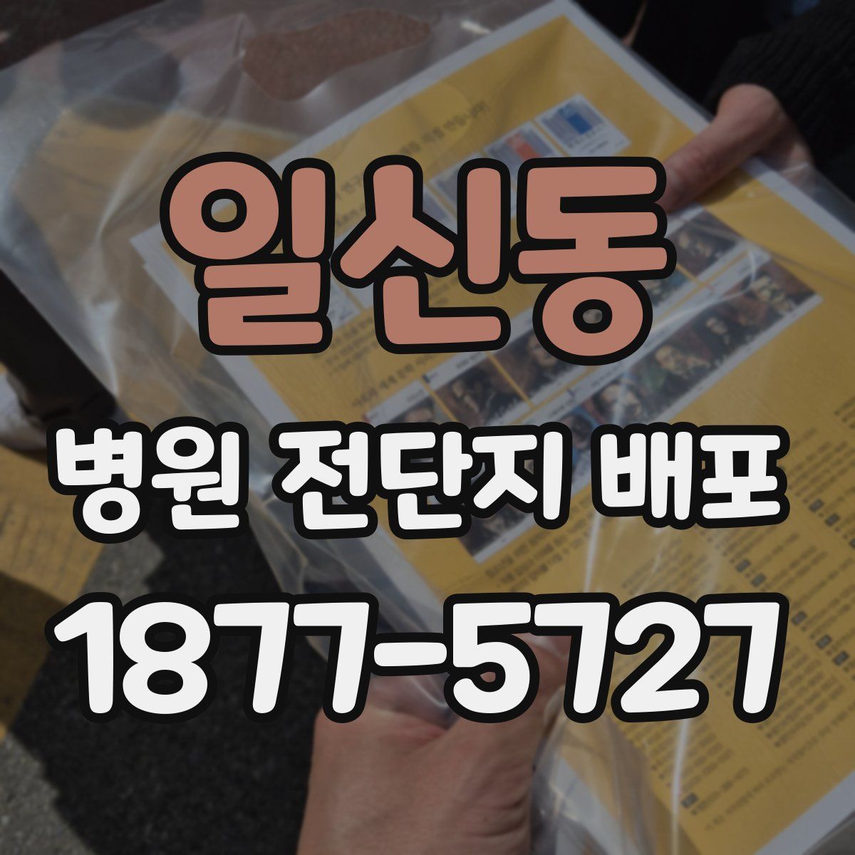 일신동 병원 전단지 배포
