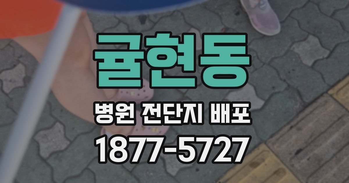 귤현동 병원 전단지 배포