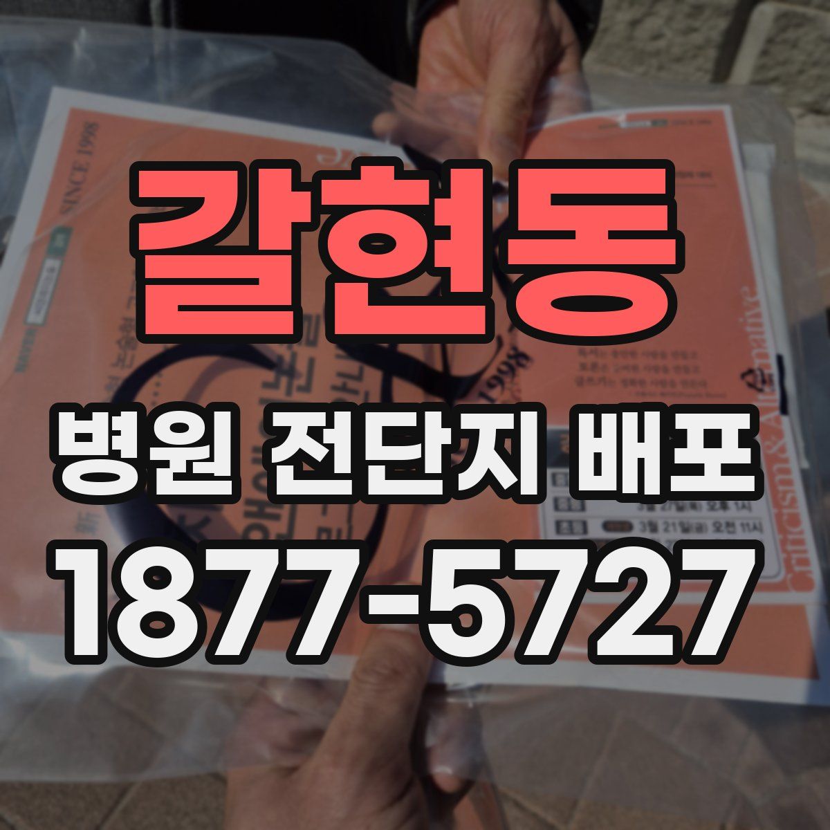 갈현동 병원 전단지 배포