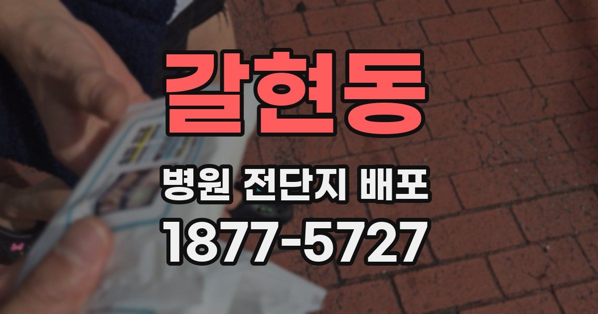 갈현동 병원 전단지 배포