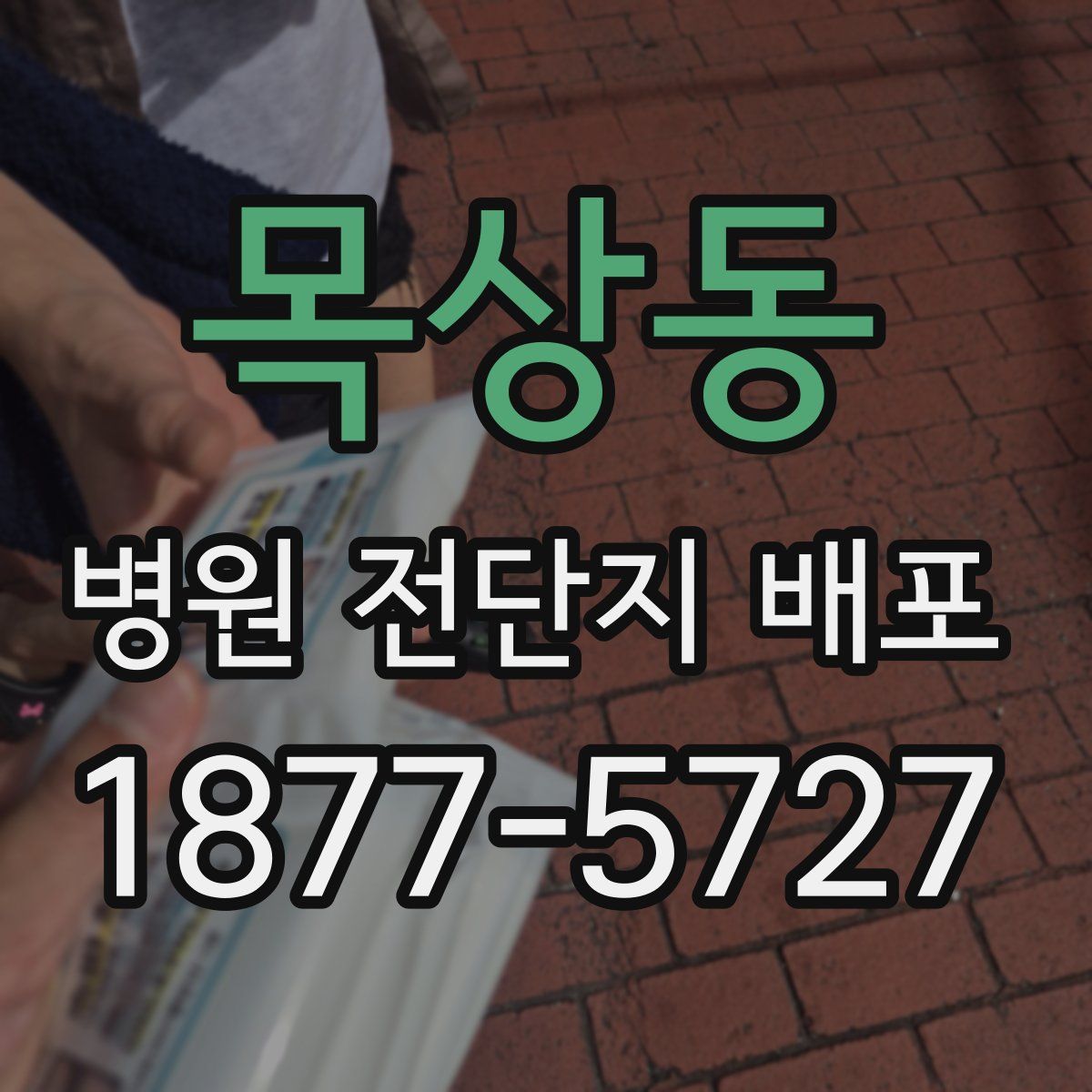 목상동 병원 전단지 배포