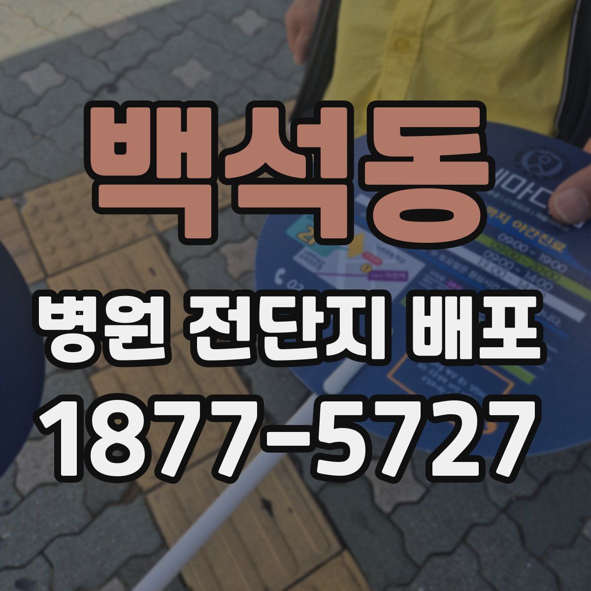 백석동 병원 전단지 배포