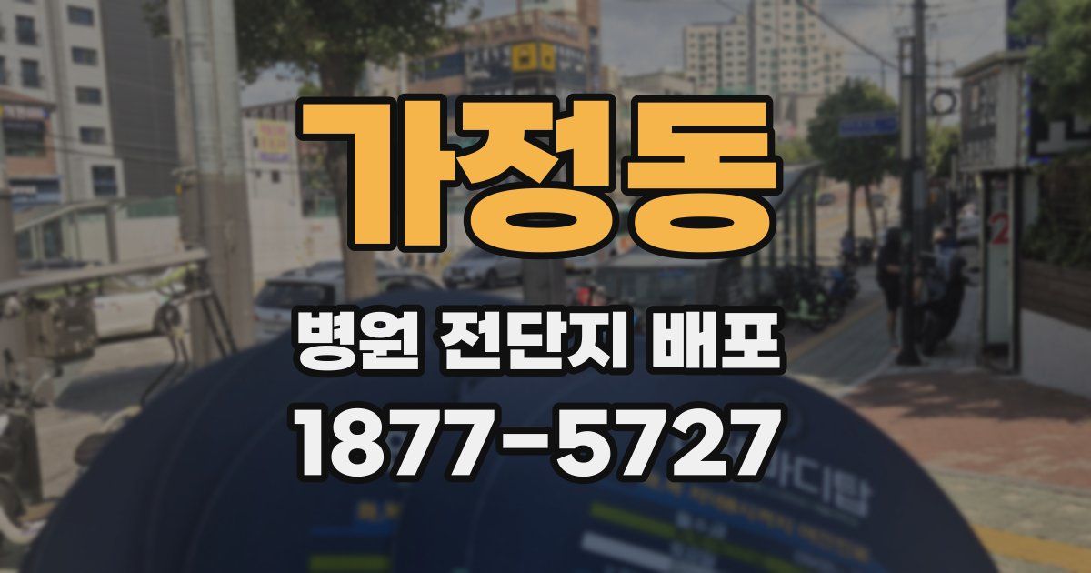 가정동 병원 전단지 배포