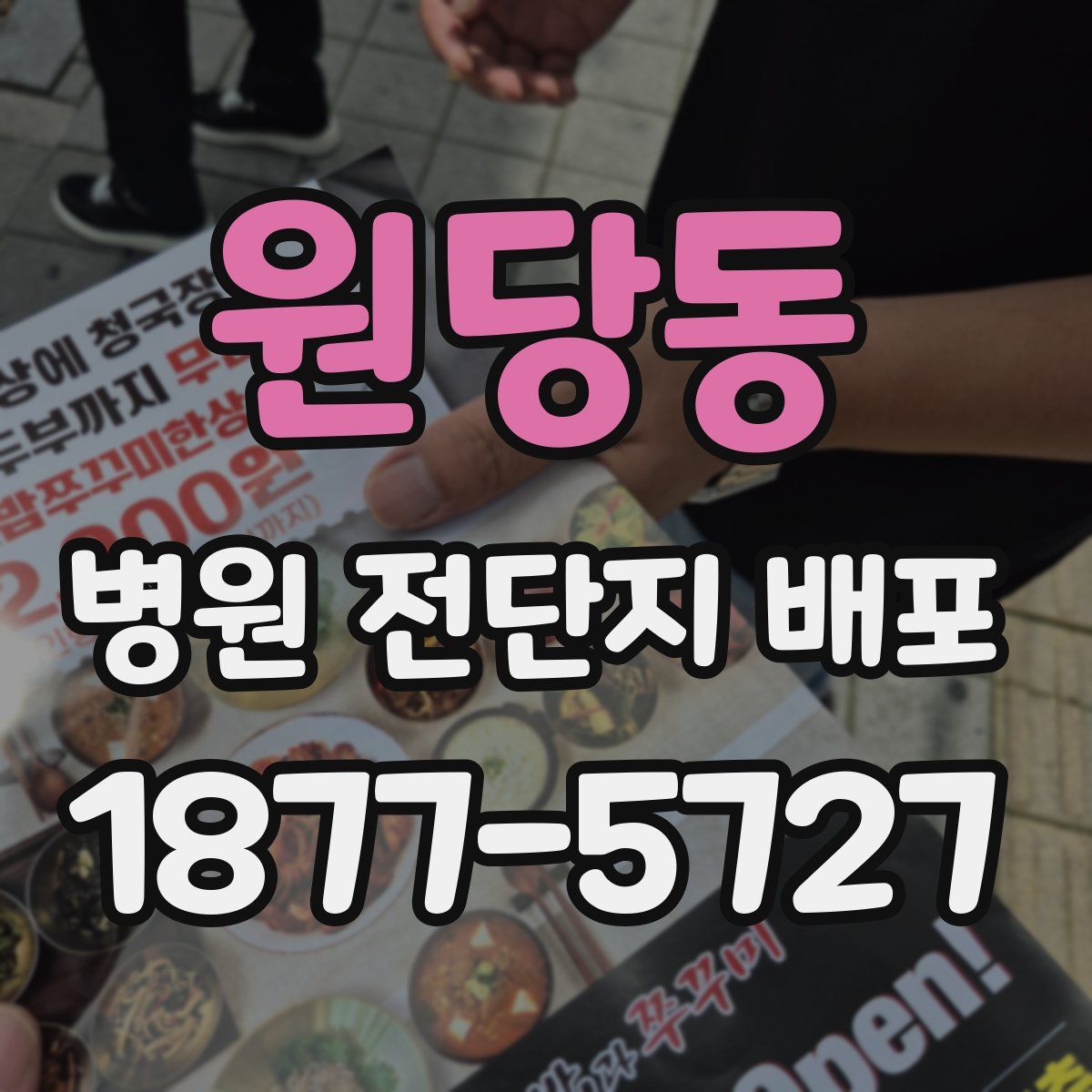 원당동 병원 전단지 배포