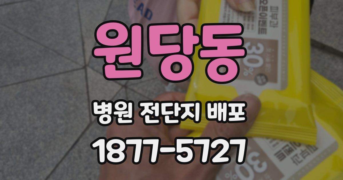 원당동 병원 전단지 배포