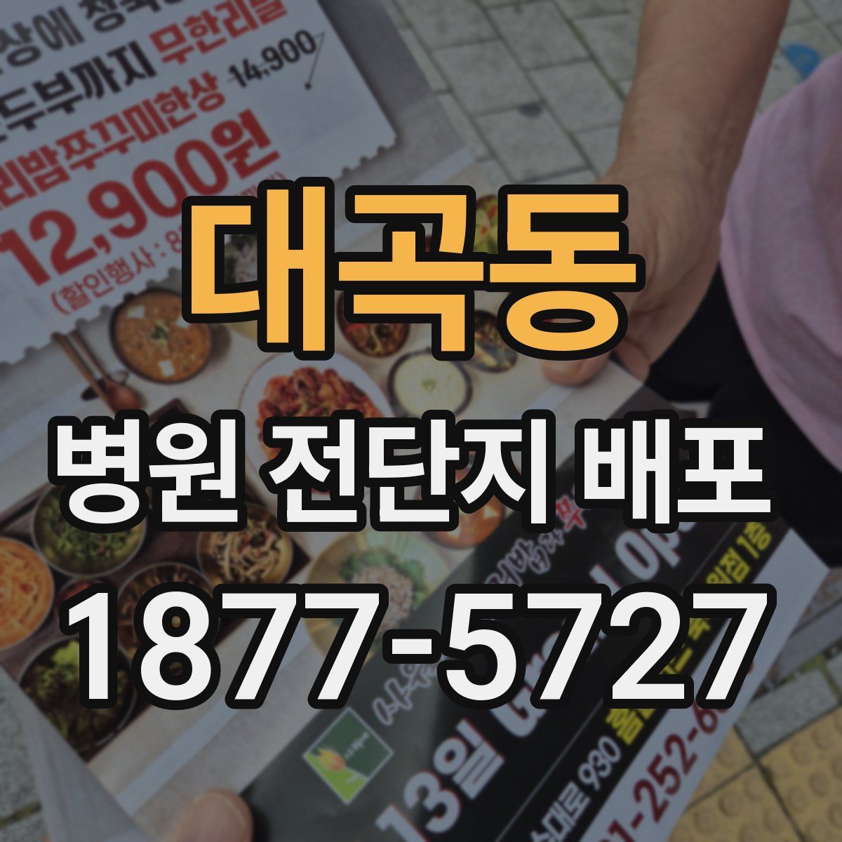 대곡동 병원 전단지 배포