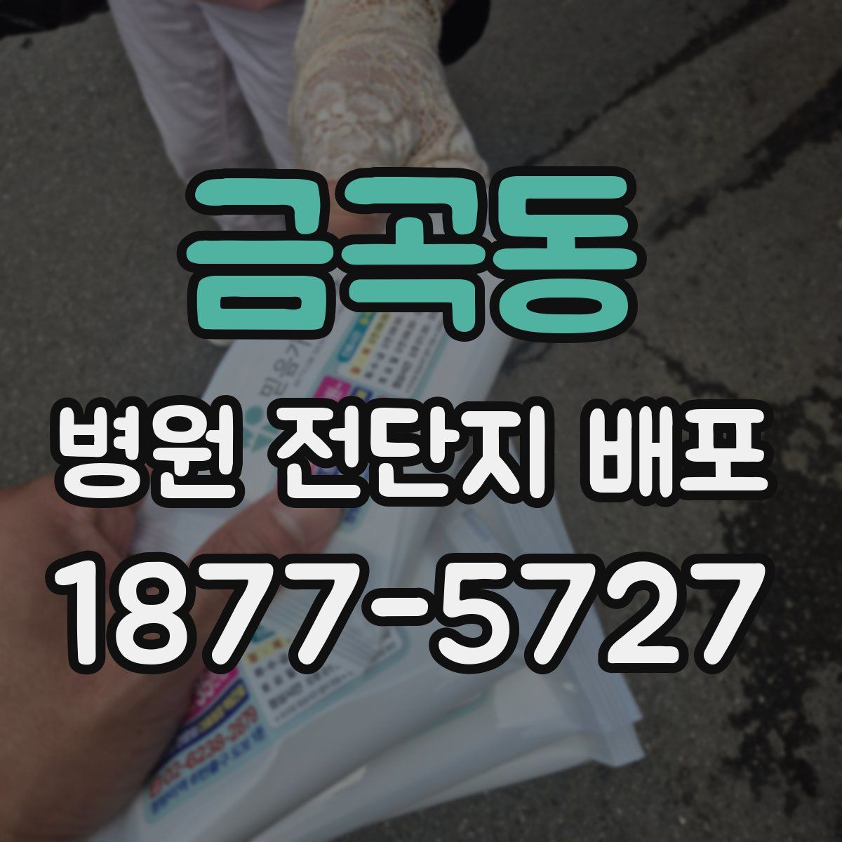 금곡동 병원 전단지 배포