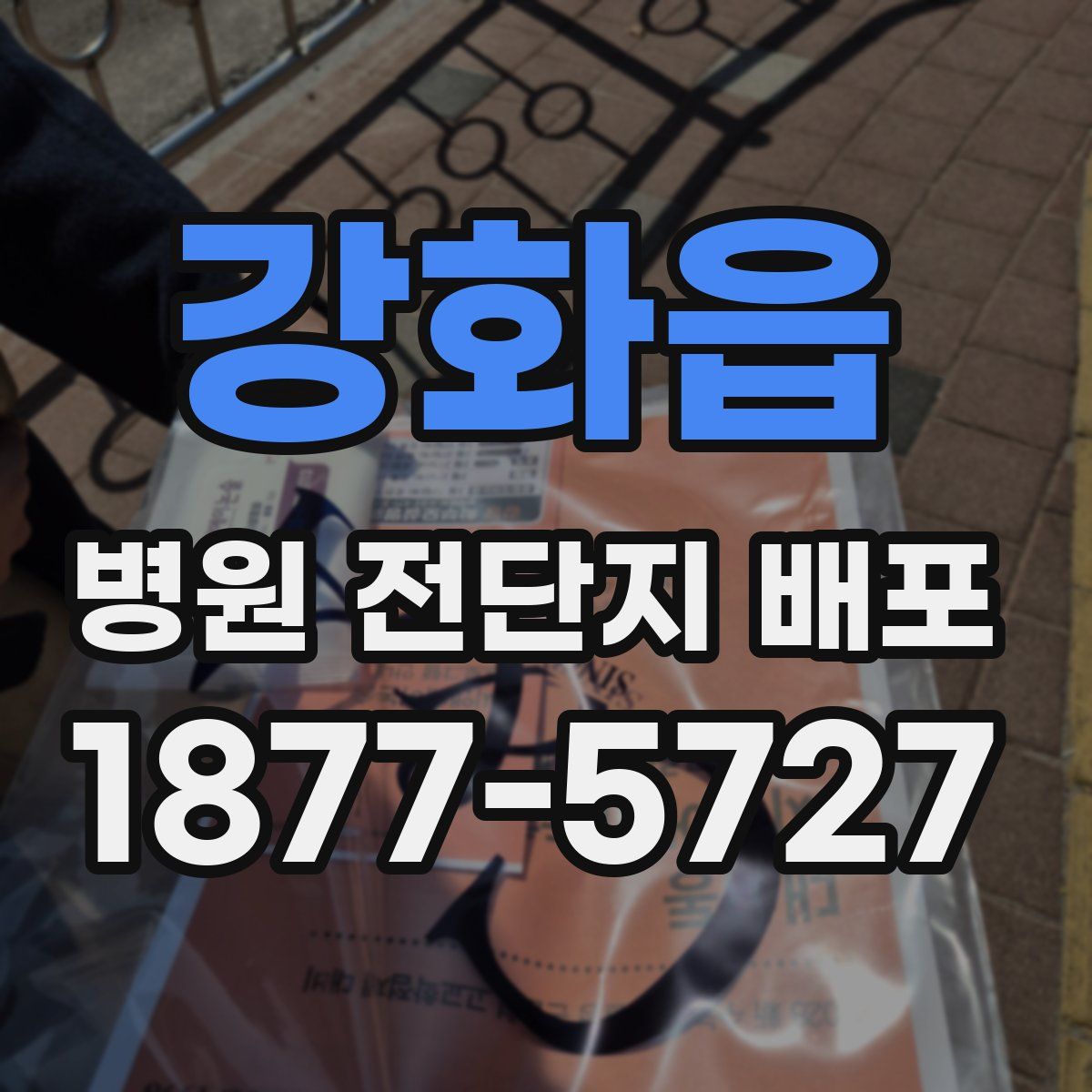 강화읍 병원 전단지 배포