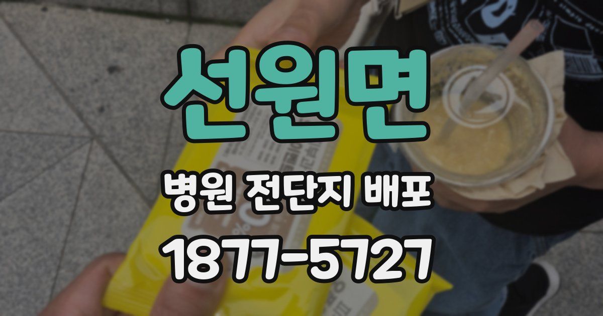 선원면 병원 전단지 배포