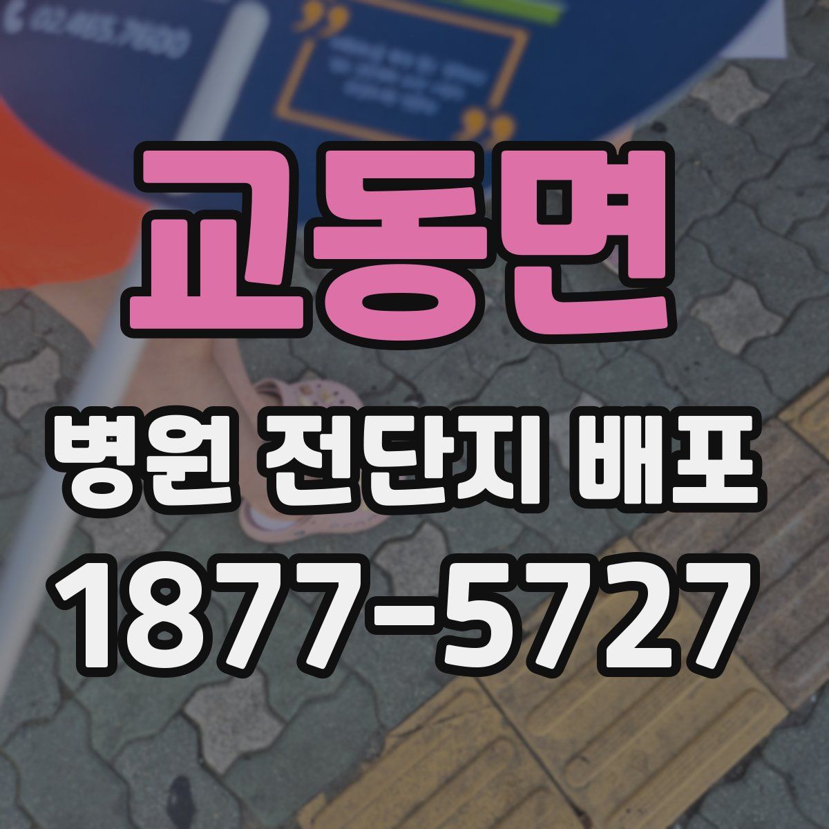 교동면 병원 전단지 배포