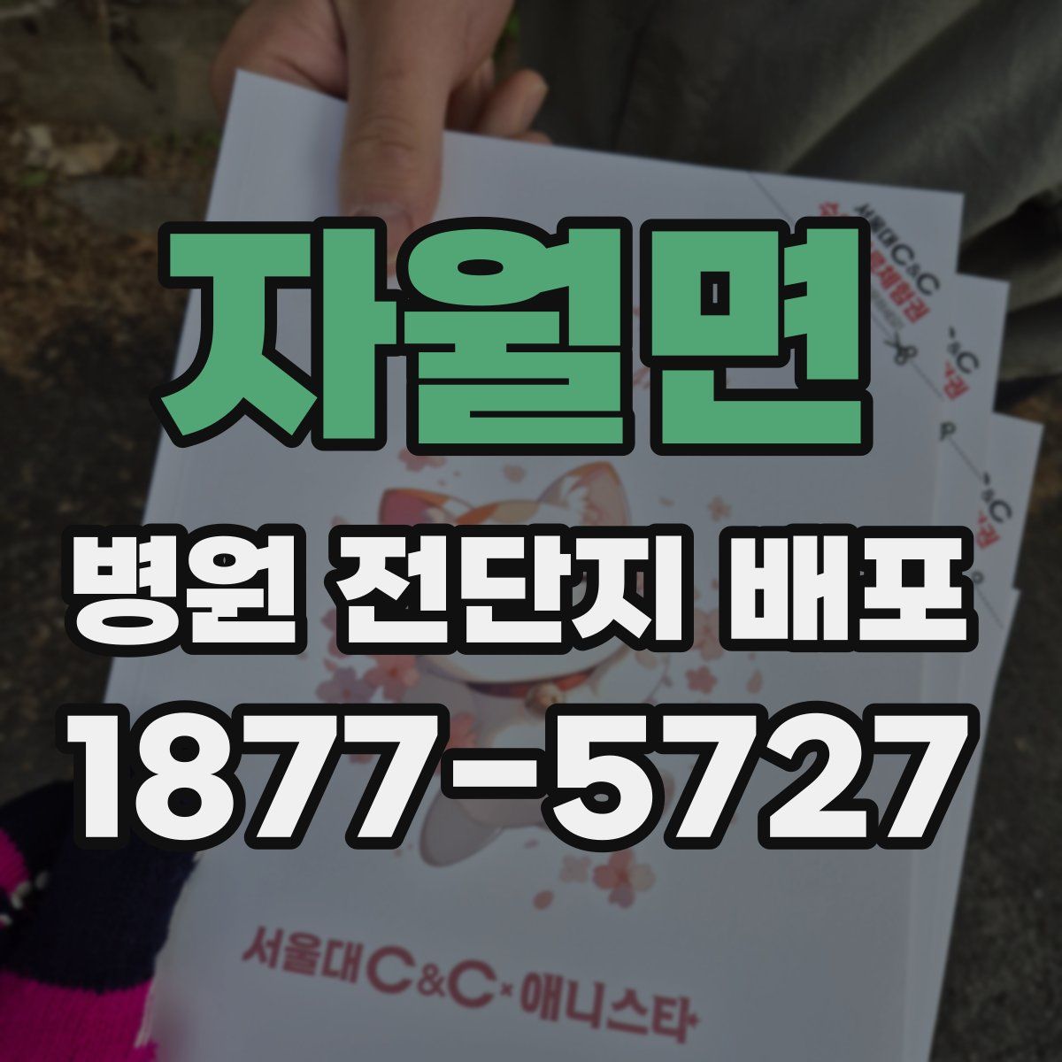 자월면 병원 전단지 배포