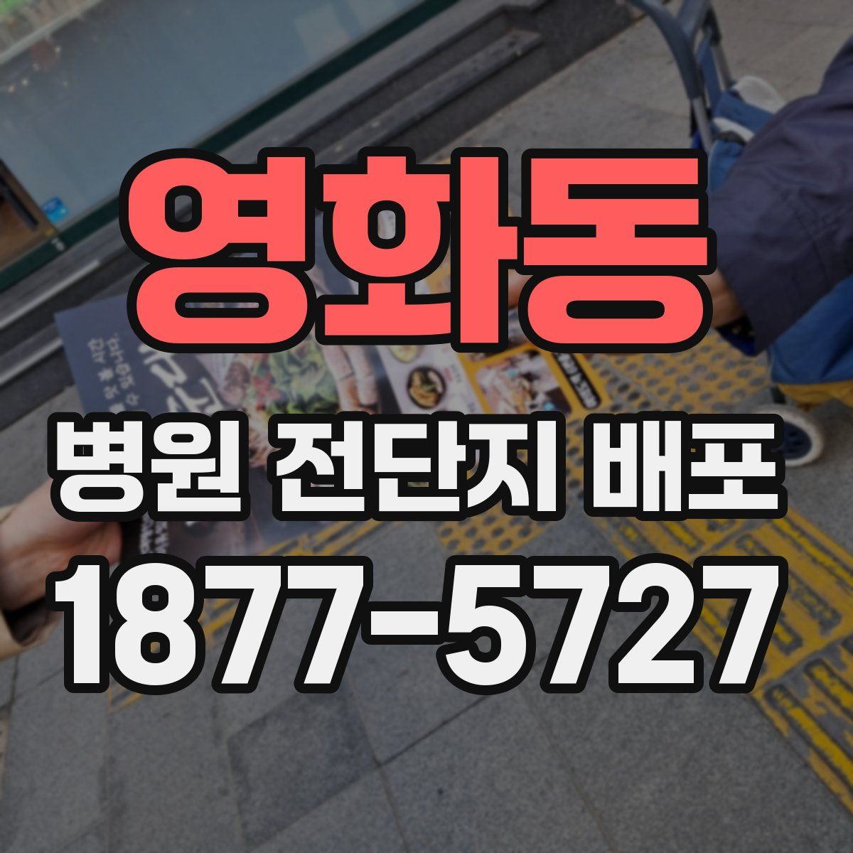 영화동 병원 전단지 배포