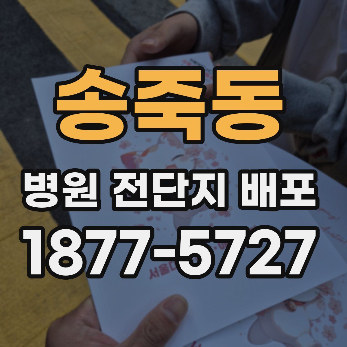 송죽동 병원 전단지 배포