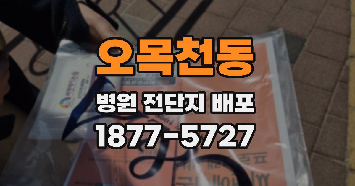 오목천동 병원 전단지 배포