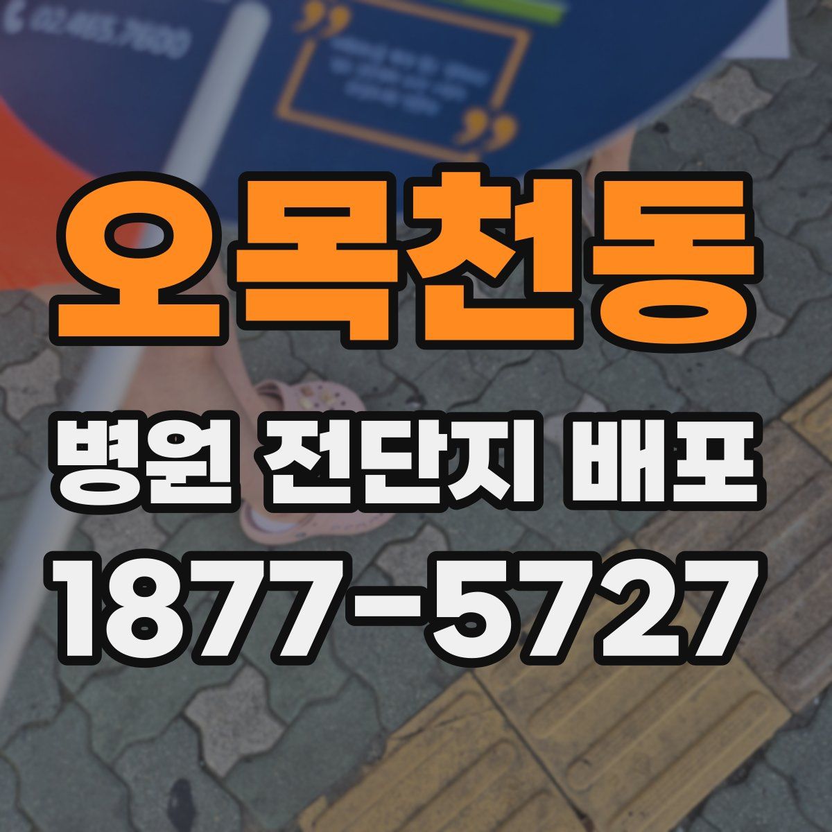 오목천동 병원 전단지 배포