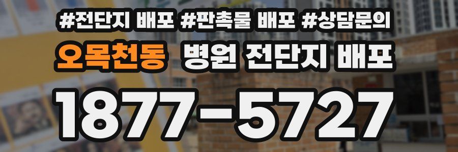 오목천동 병원 전단지 배포